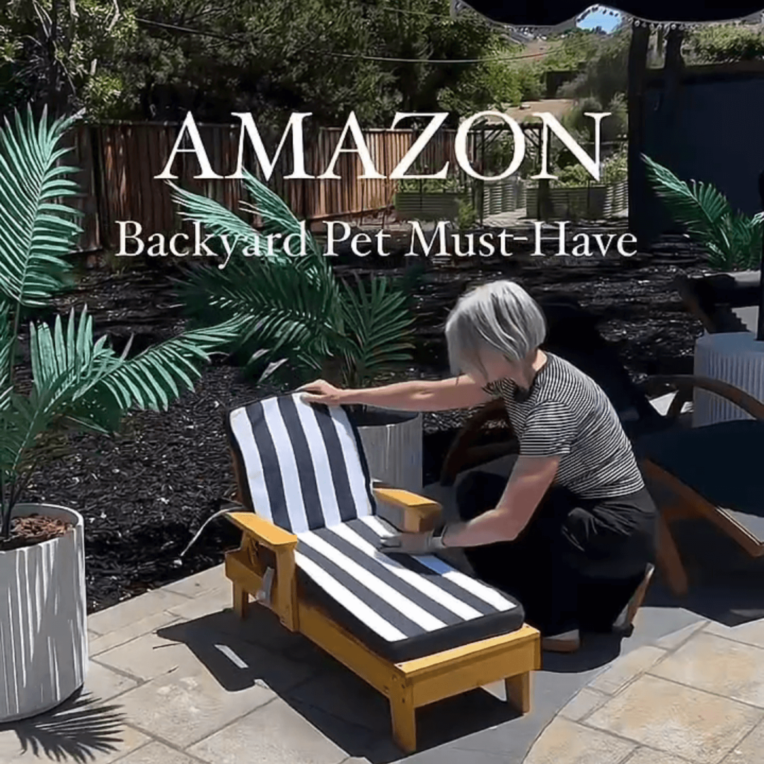amazon backyard pets must haves