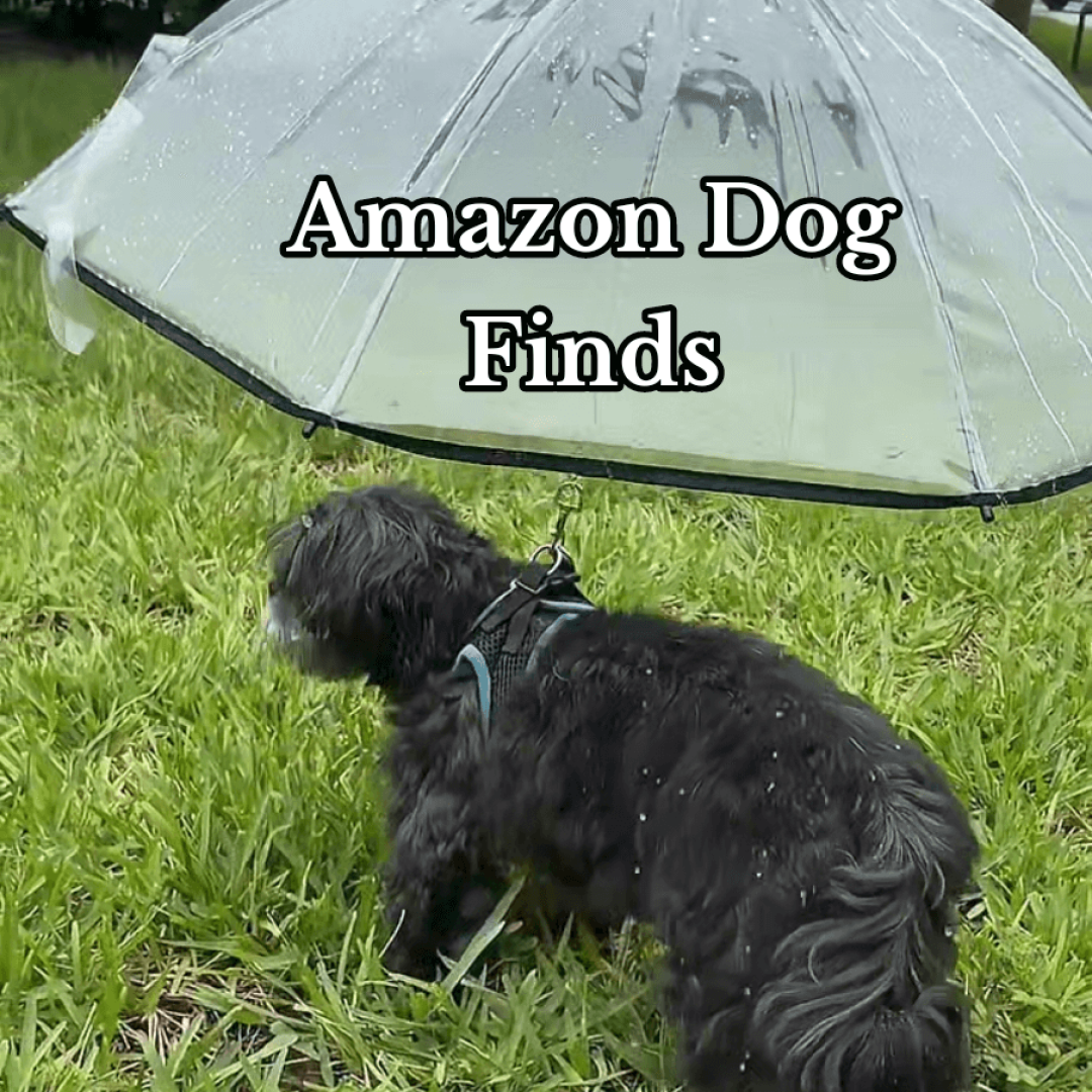 Amazon Dog Finds You must haves