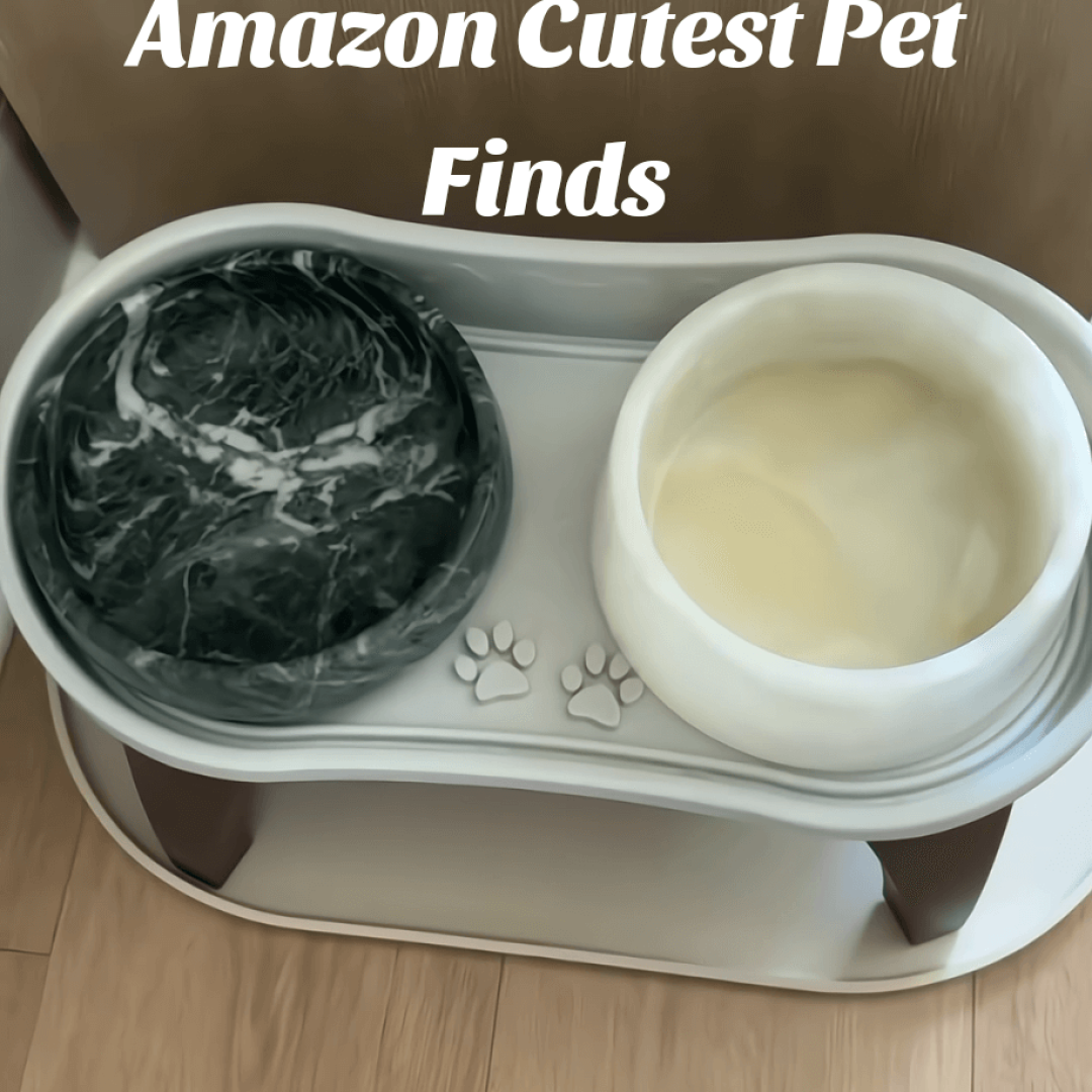 Amazon Cutest Pets Finds You must Haves